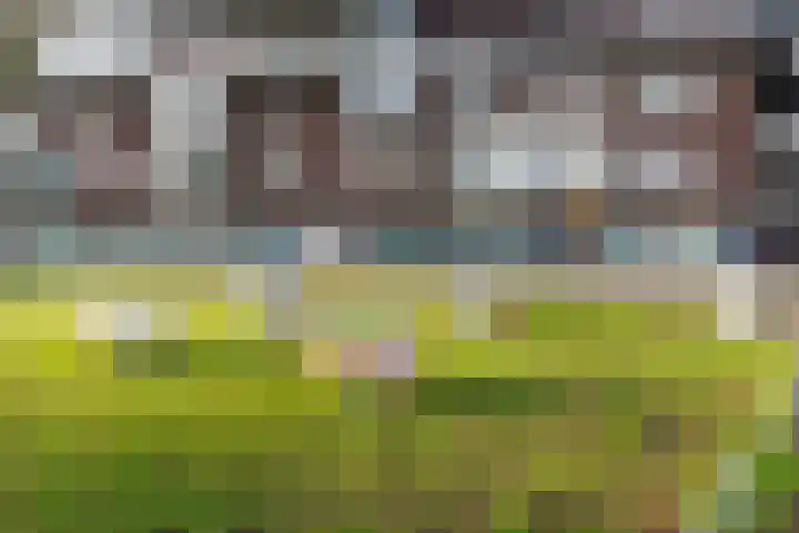 Banier 32 Boxtel thumbnail 4