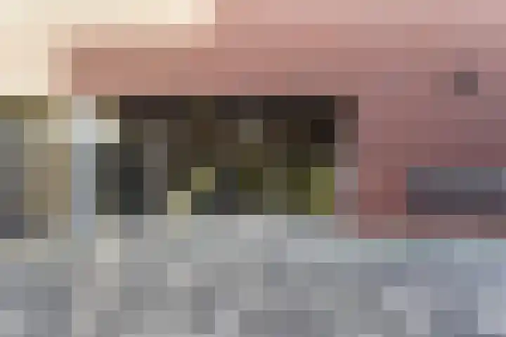 Banier 32 Boxtel thumbnail 8