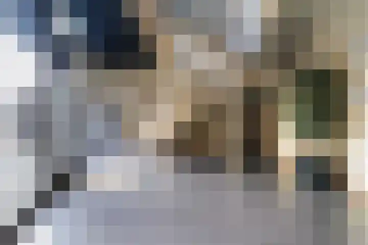 Banier 32 Boxtel thumbnail 9
