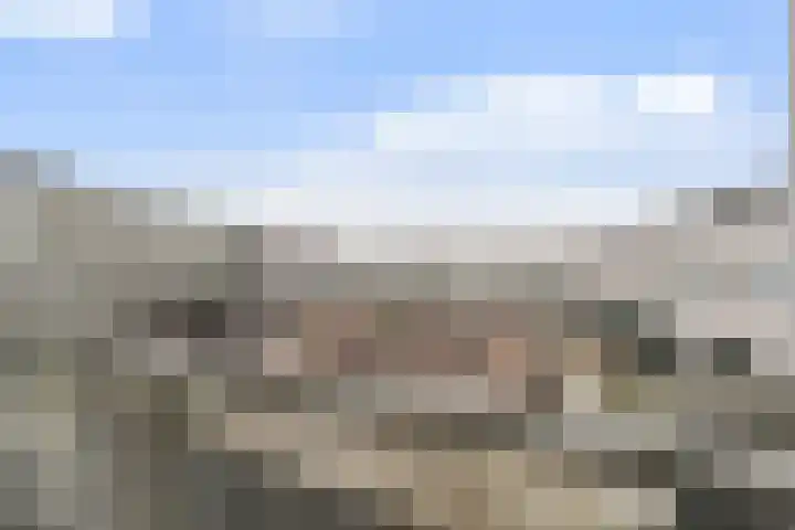 Banier 40 Boxtel thumbnail 10