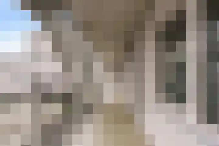 Banier 40 Boxtel thumbnail 12