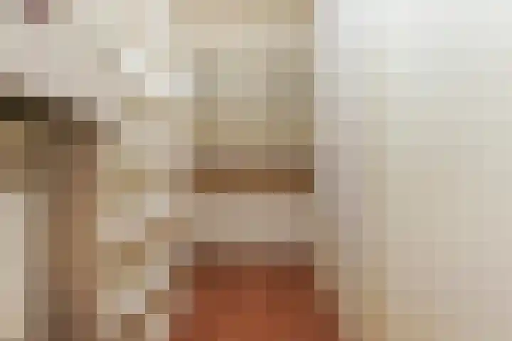 Banier 40 Boxtel thumbnail 45