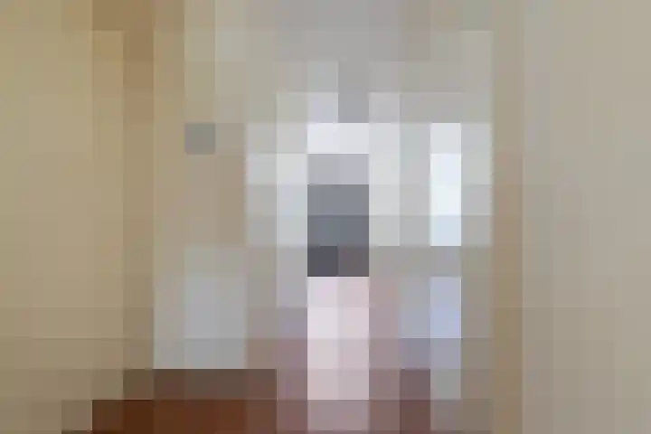 Banier 72 Boxtel thumbnail 18