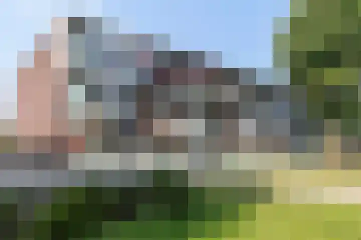 Banier 72 Boxtel thumbnail 6