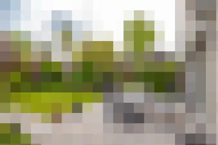 Banjopad 4 Duiven thumbnail 16