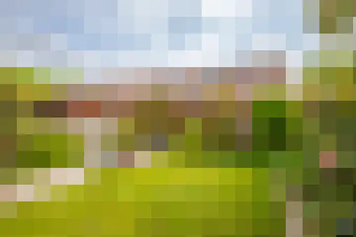 Banjopad 4 Duiven thumbnail 19