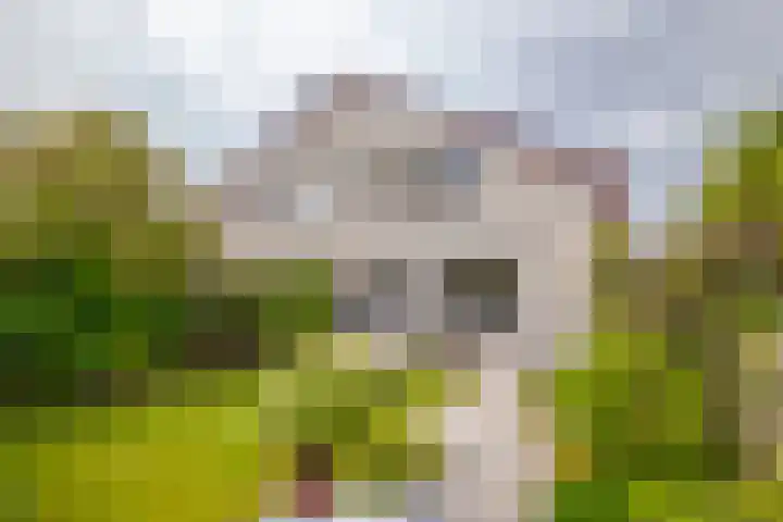 Banjopad 4 Duiven foto 2