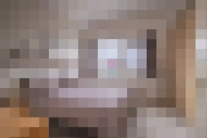 Banjopad 4 Duiven thumbnail 22