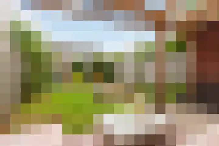 Banjopad 4 Duiven thumbnail 38