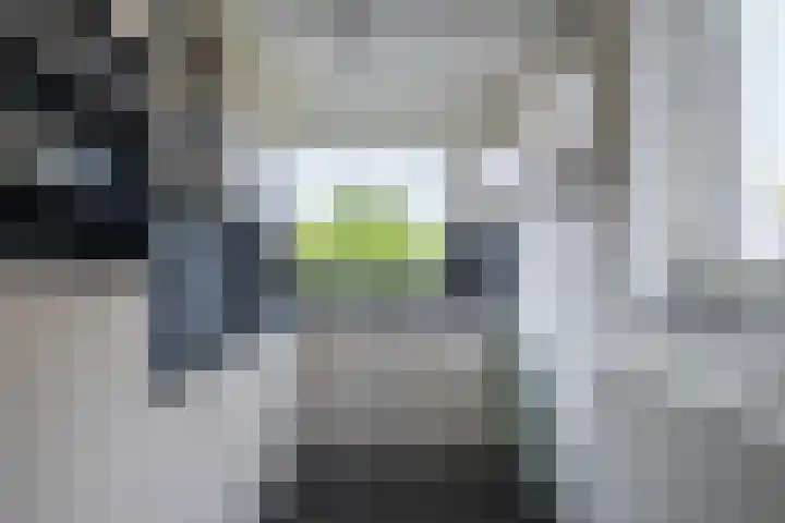 Banjopad 4 Duiven thumbnail 4