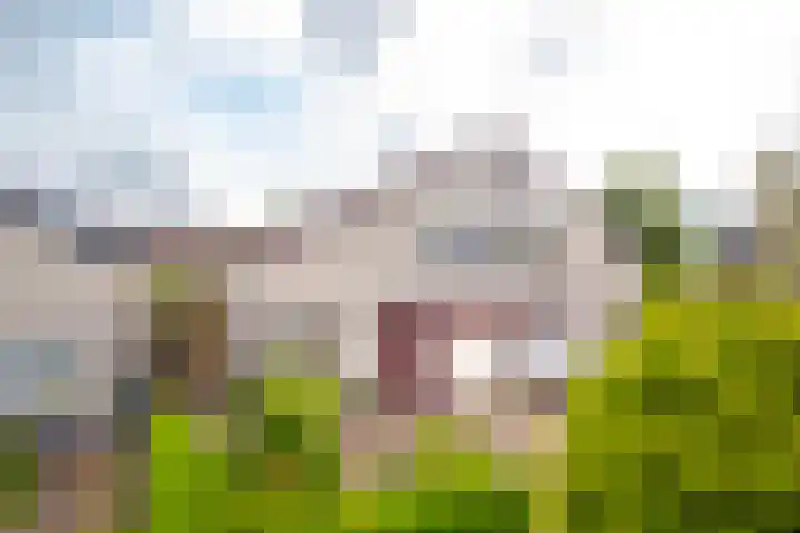 Banjopad 4 Duiven thumbnail 45