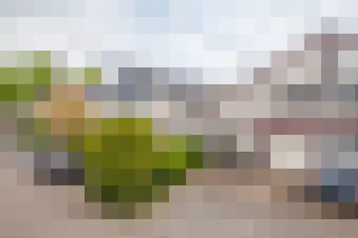Banjopad 4 Duiven thumbnail 5