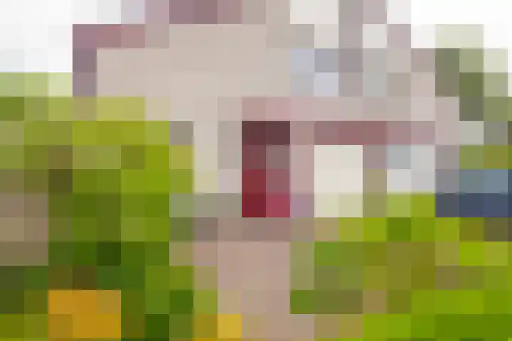 Banjopad 4 Duiven thumbnail 6