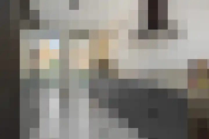 Bankirai 27 Rosmalen thumbnail 12