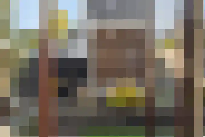 Bankirai 27 Rosmalen thumbnail 16