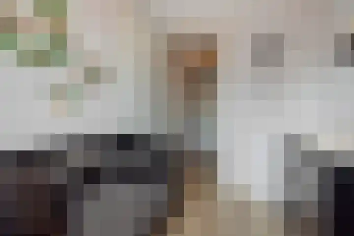 Bankirai 27 Rosmalen thumbnail 18