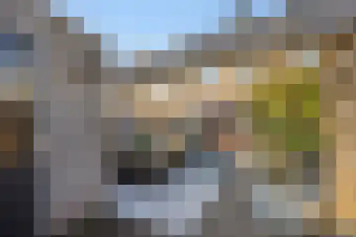 Bankirai 27 Rosmalen thumbnail 27