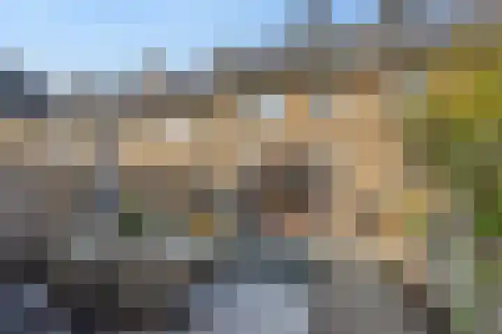 Bankirai 27 Rosmalen thumbnail 28