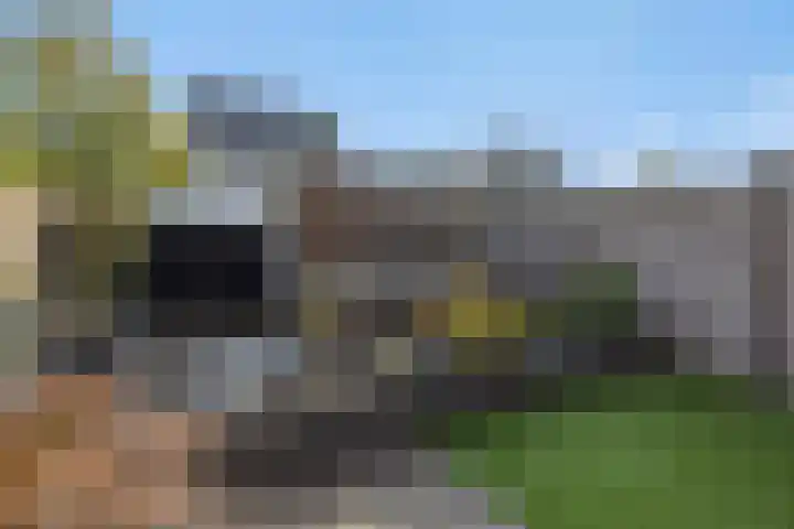 Bankirai 27 Rosmalen thumbnail 30