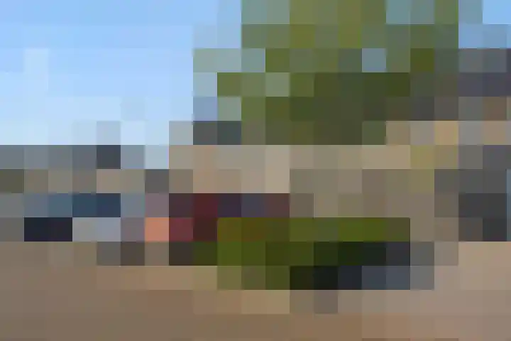 Bankirai 27 Rosmalen thumbnail 31