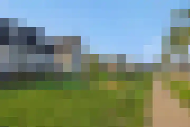 Bankirai 27 Rosmalen thumbnail 33