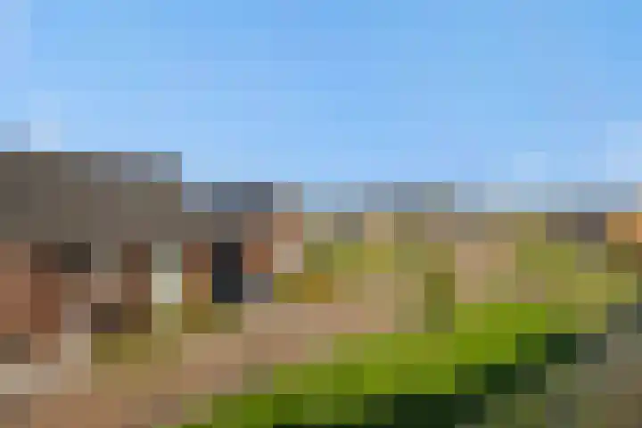 Bankirai 27 Rosmalen thumbnail 34