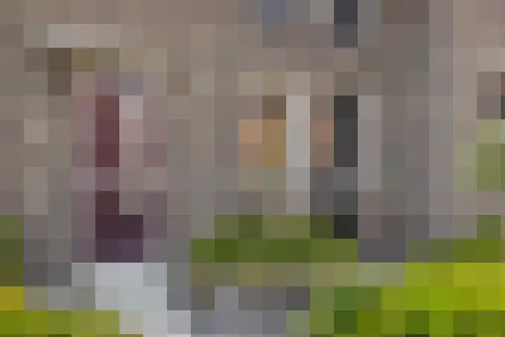 Bankirai 27 Rosmalen thumbnail 7