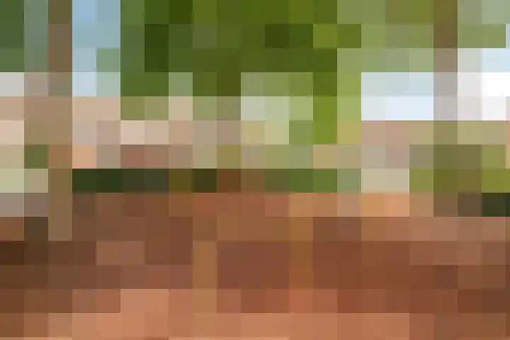 Bankven 3 Goirle thumbnail 42