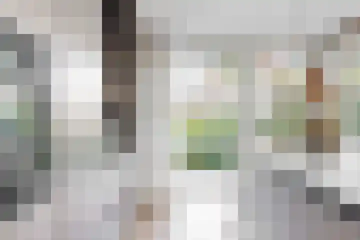 Banmolen 26 Herten thumbnail 10