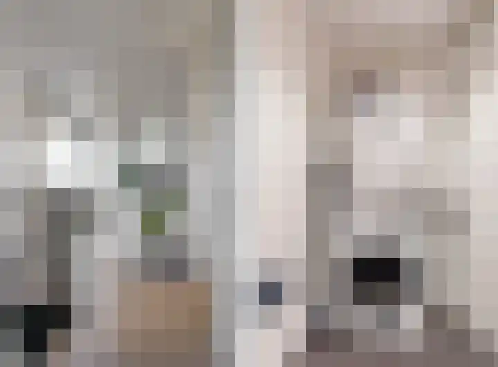 Banmolen 26 Herten thumbnail 12