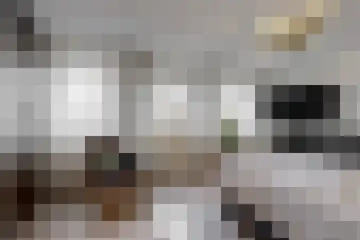 Banmolen 26 Herten thumbnail 14
