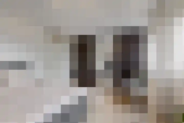 Banmolen 26 Herten thumbnail 15