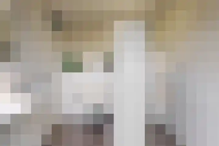 Banmolen 26 Herten thumbnail 19