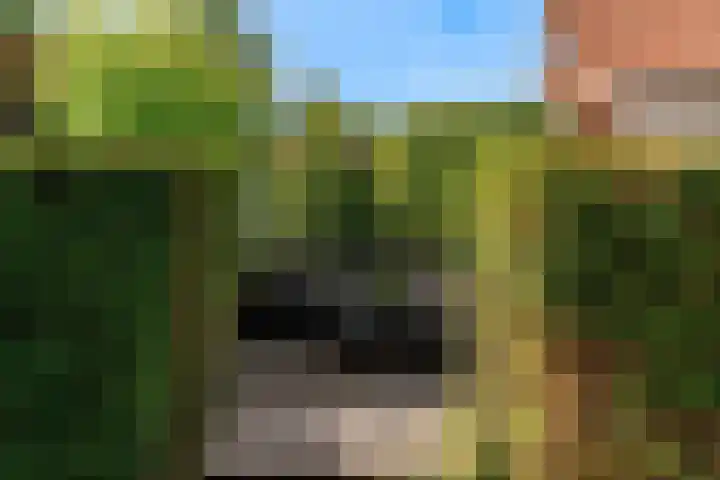 Banmolen 26 Herten thumbnail 25