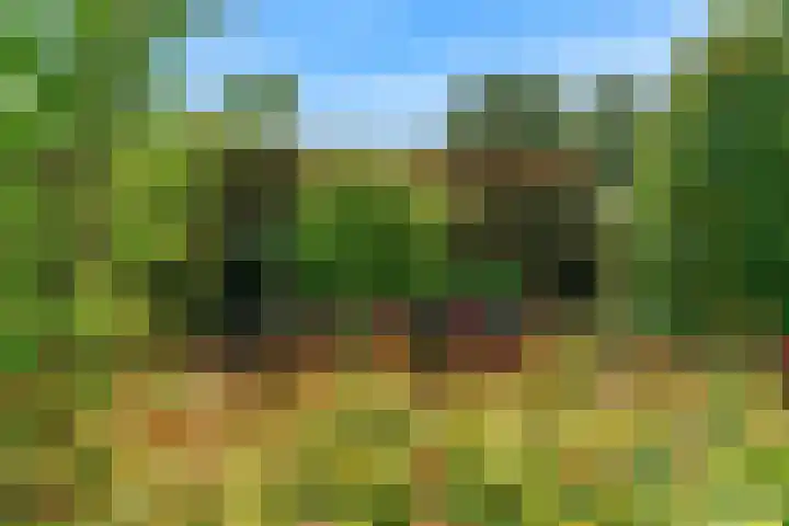 Banmolen 26 Herten thumbnail 26