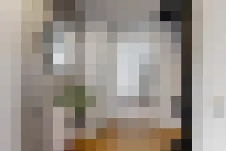 Banmolen 26 Herten thumbnail 4