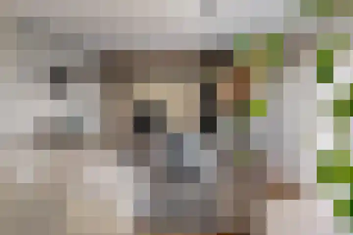 Banmolen 26 Herten thumbnail 8