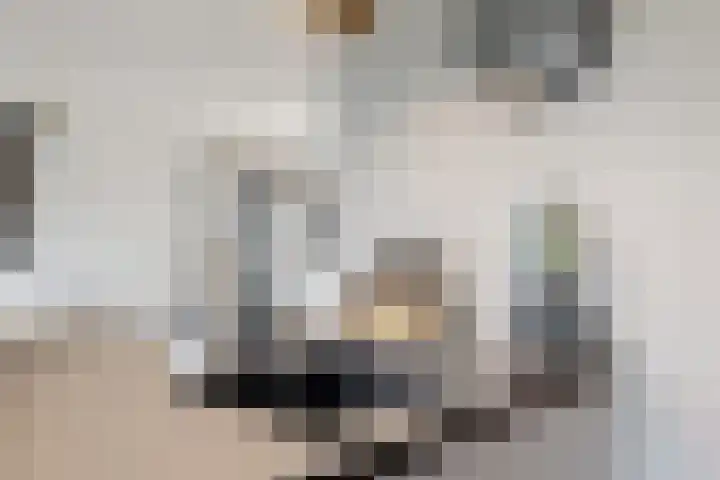 Banmolen 26 Herten thumbnail 9