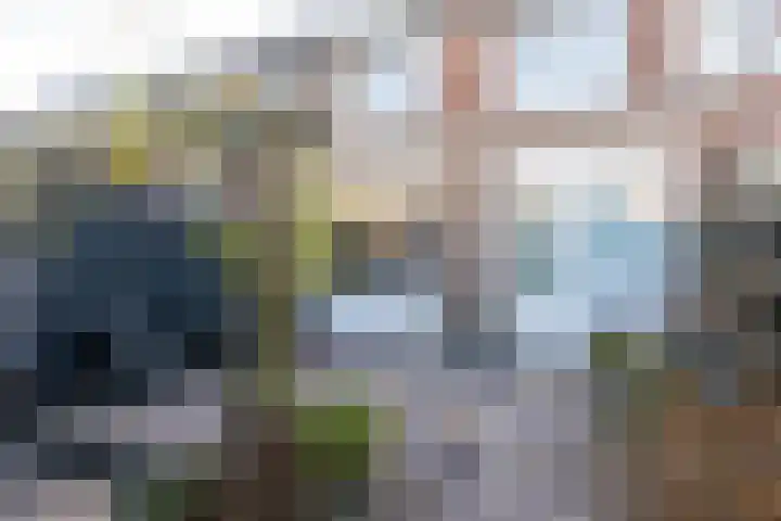 Bannestraat 41 Wervershoof thumbnail 43