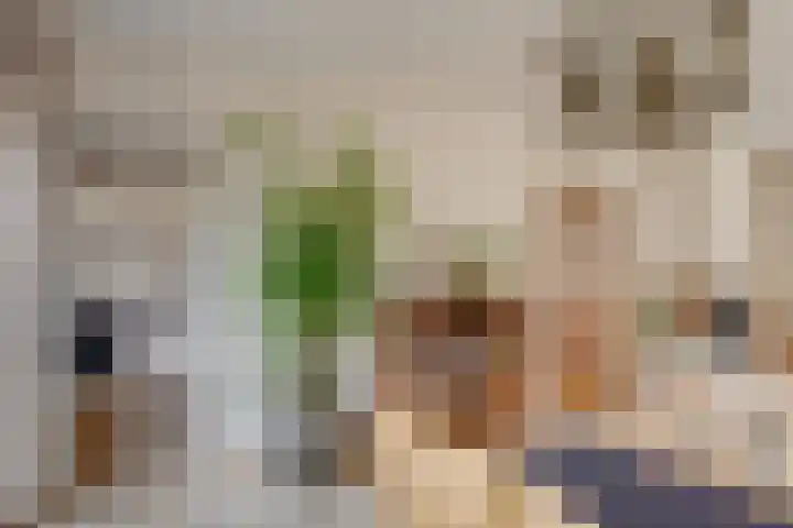 Banninksweg 4 Laren thumbnail 17