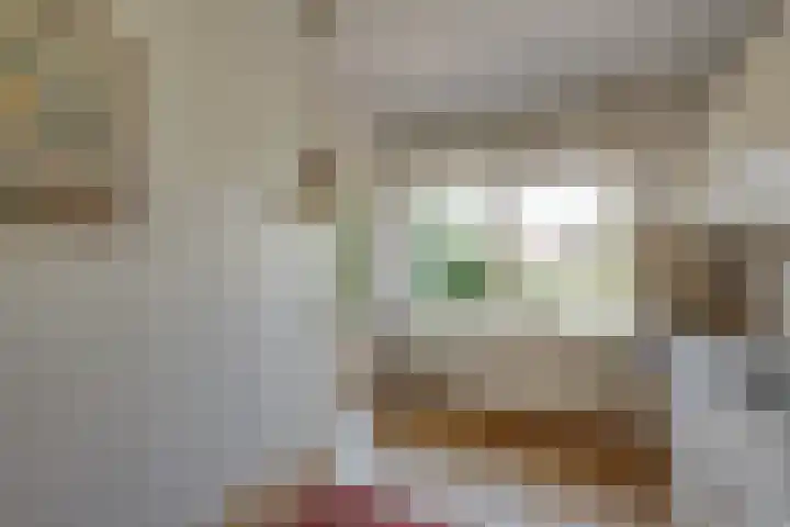 Banninksweg 4 Laren thumbnail 21