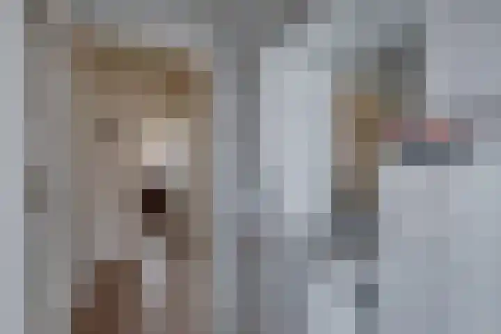 Banninksweg 4 Laren thumbnail 28