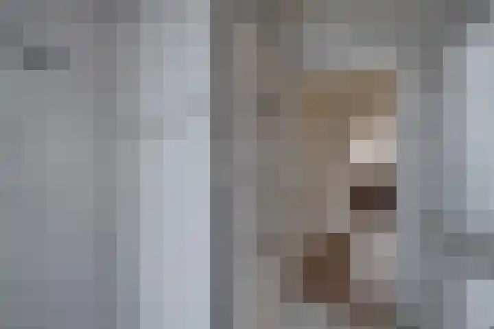 Banninksweg 4 Laren thumbnail 30