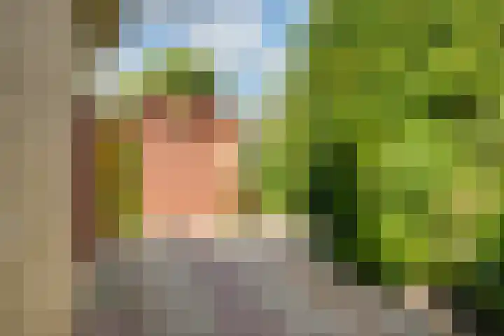 Banninksweg 4 Laren thumbnail 39