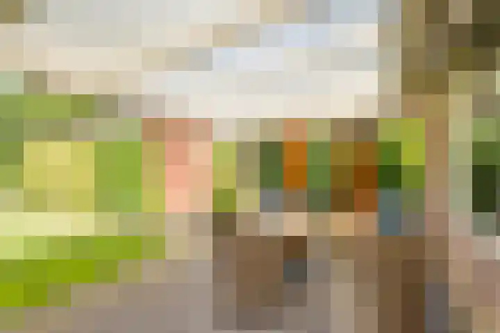 Banninksweg 4 Laren thumbnail 46