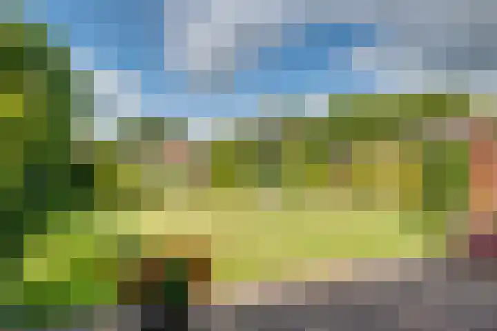 Banninksweg 4 Laren thumbnail 47