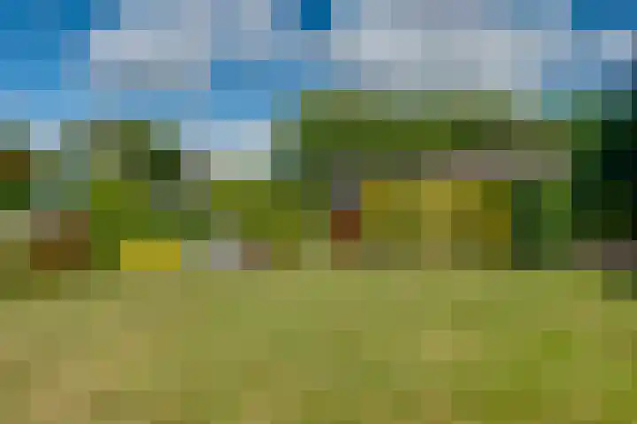 Banninksweg 4 Laren thumbnail 49