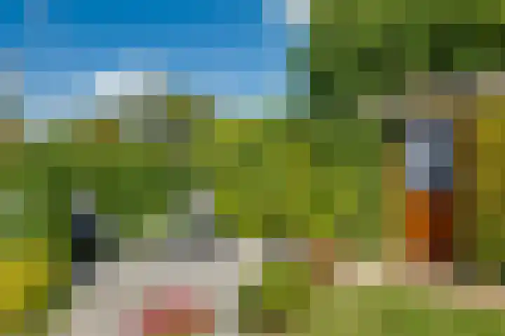 Banninksweg 4 Laren thumbnail 52