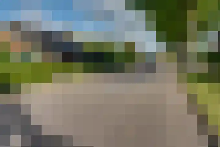 Banninksweg 4 Laren thumbnail 54