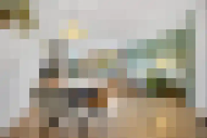 Bansingel 88 Oudenbosch thumbnail 13